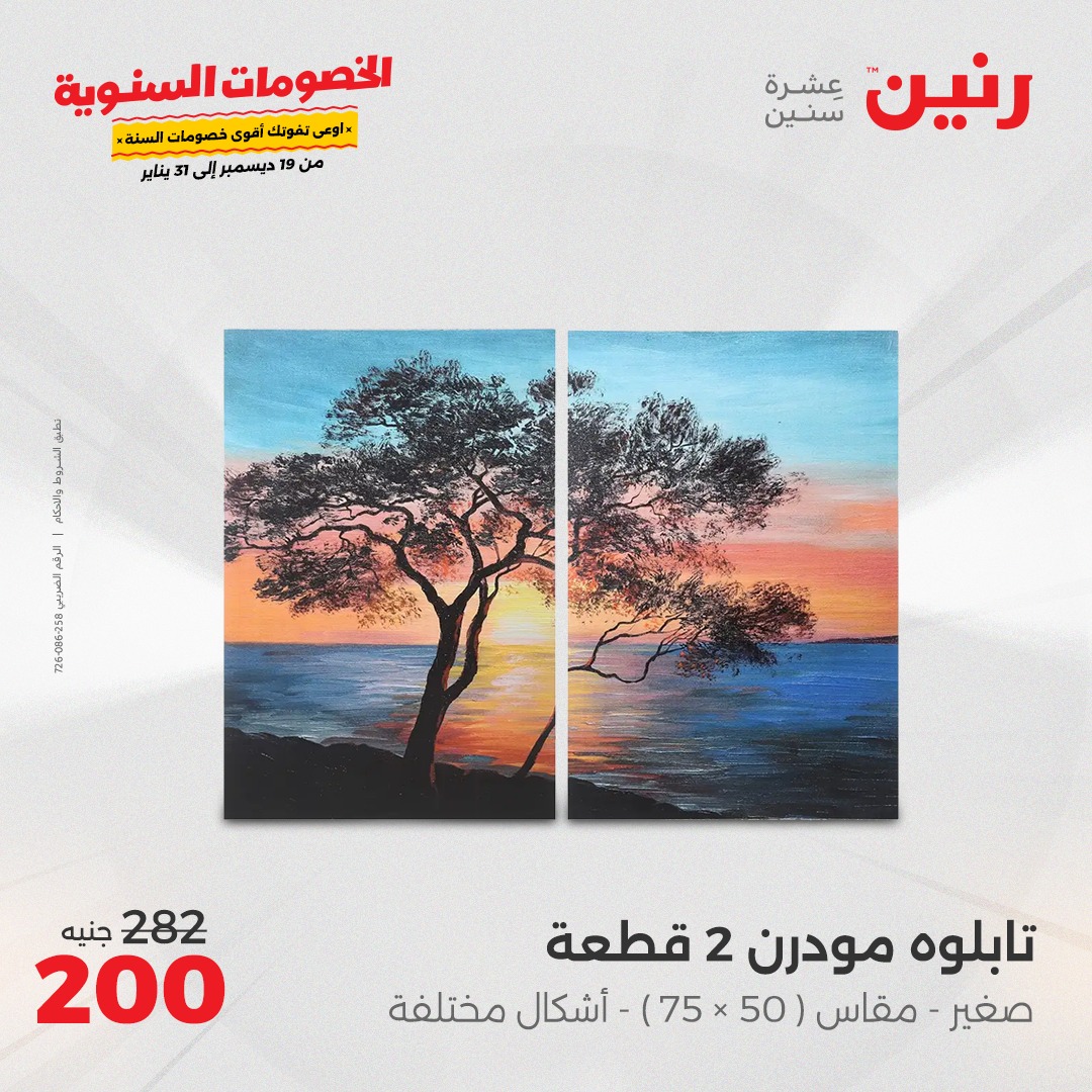 raneen offers from 19dec to 21dec 2024 عروض رنين من 19 ديسمبر حتى 21 ديسمبر 2024 صفحة رقم 133